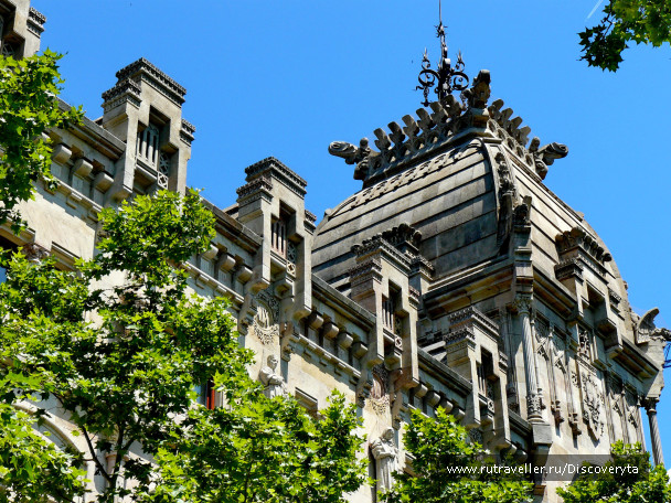 photo 189784