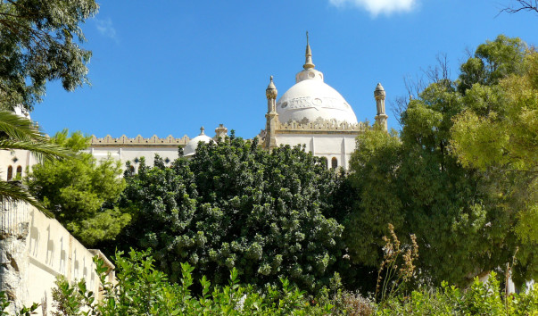 P1070810-1