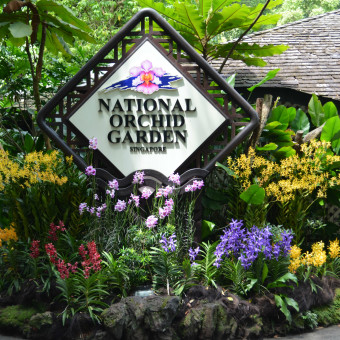 Парк орхидей Сингапур