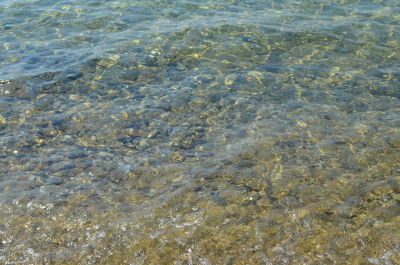 photo 573662
