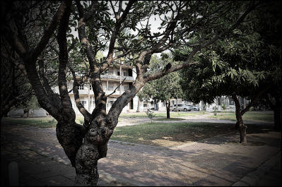 photo 1194017
