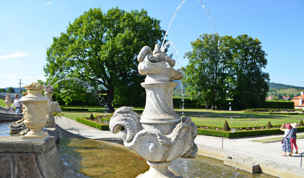 DSC_0702