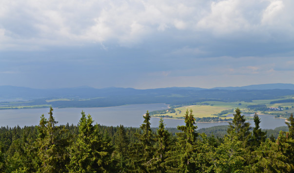DSC_0093