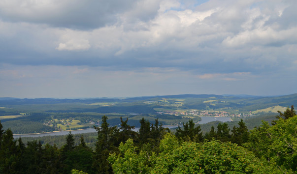 DSC_0092