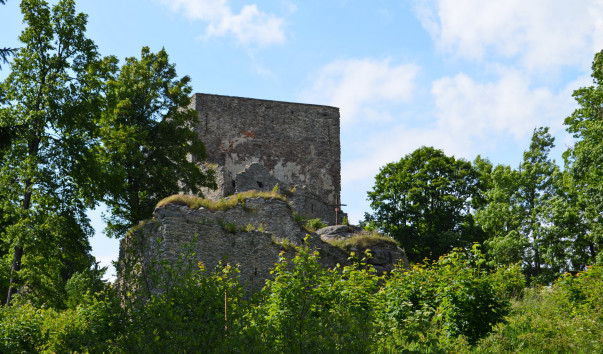 DSC_0081