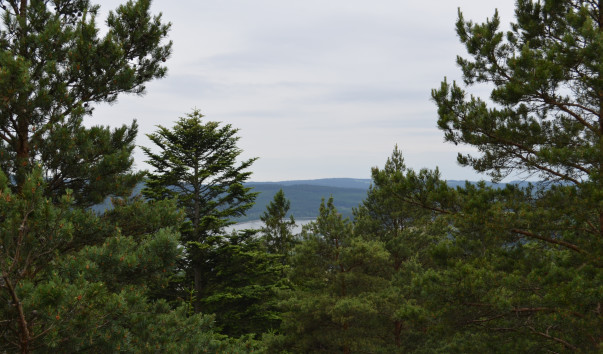 DSC_0917