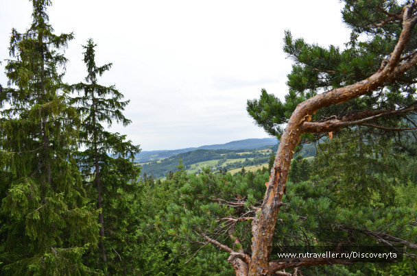 photo 1153670