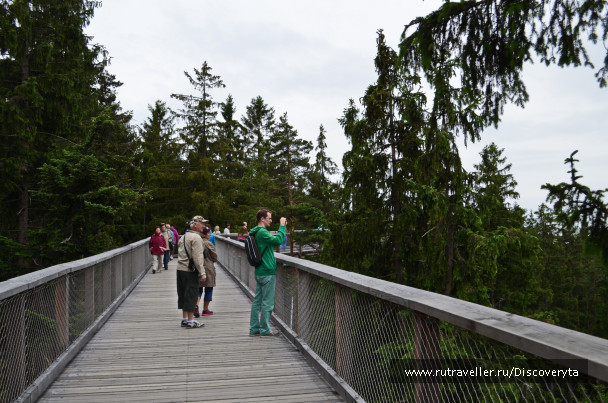 photo 1153671