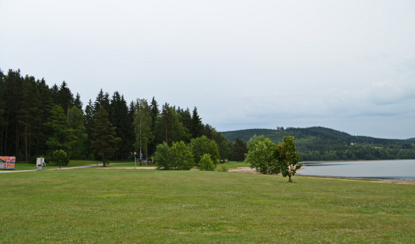 DSC_0803