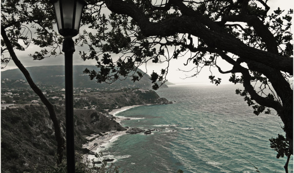 DSC_0451