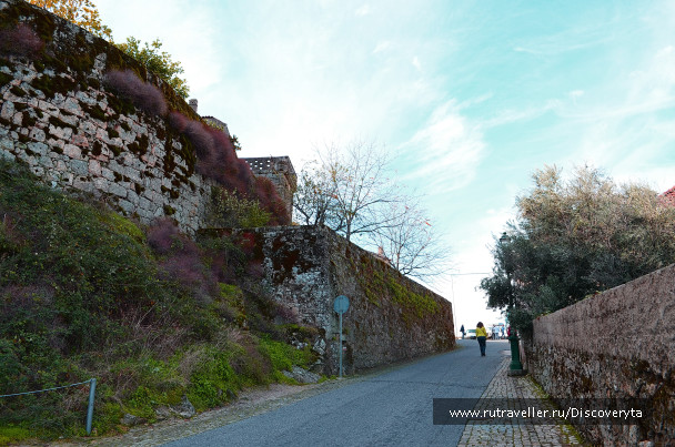 photo 1416439