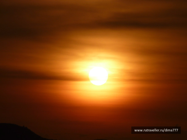 photo 264391