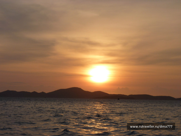 photo 264393