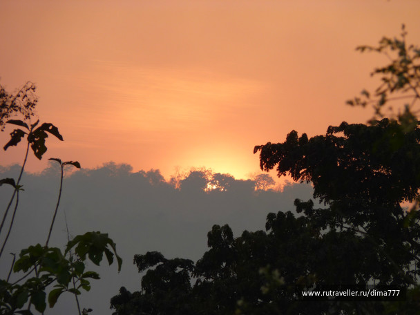 photo 264394