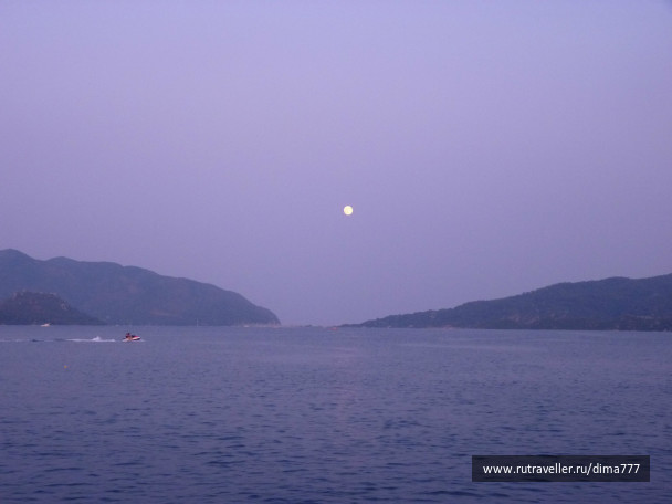 photo 267139