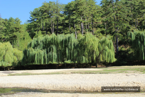 photo 245752
