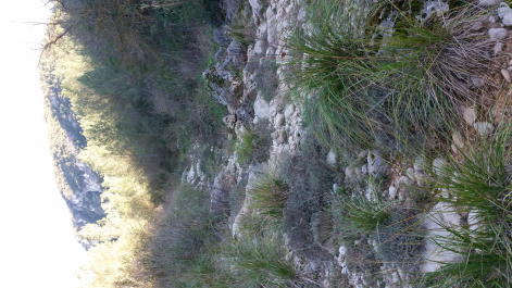 photo 1232085