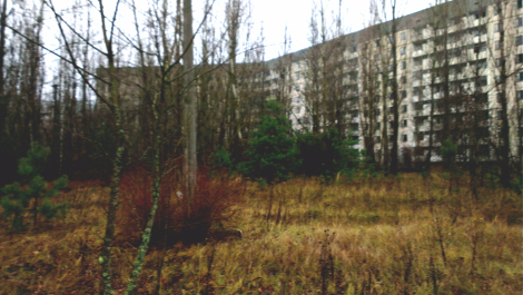 photo 1038354