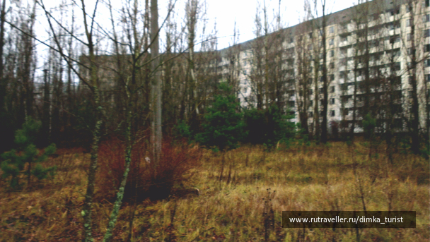 photo 1038354