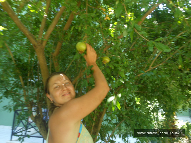 photo 483016