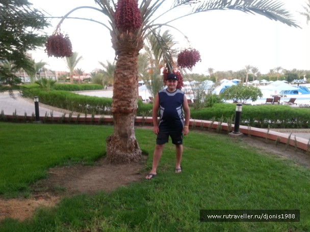 photo 828998