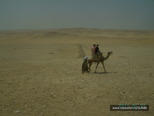 photo 45324