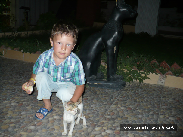 photo 551288
