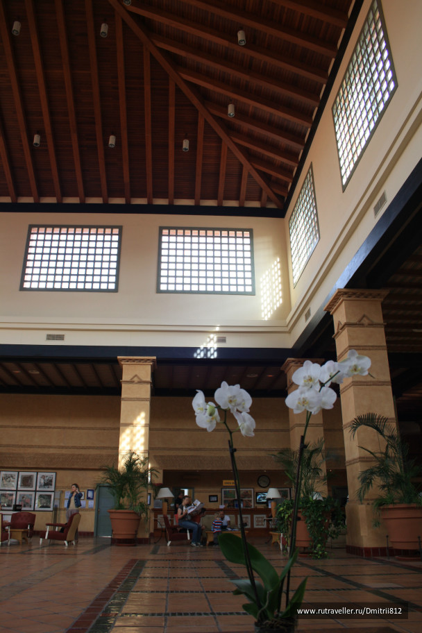 photo 226683