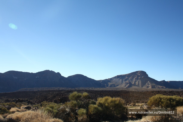 photo 229241