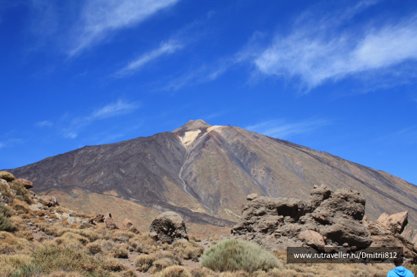 photo 229270