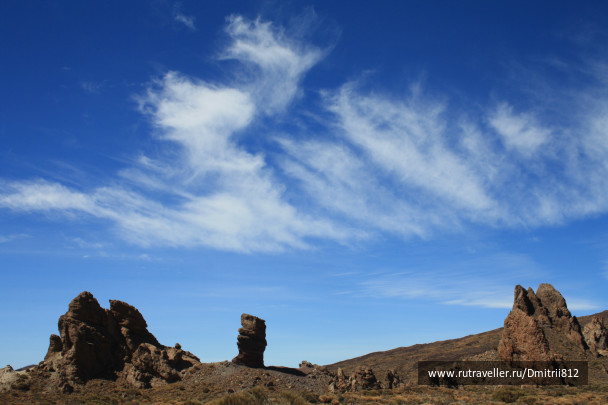photo 229277