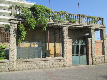 photo 1241212