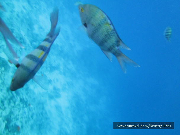 photo 1241266