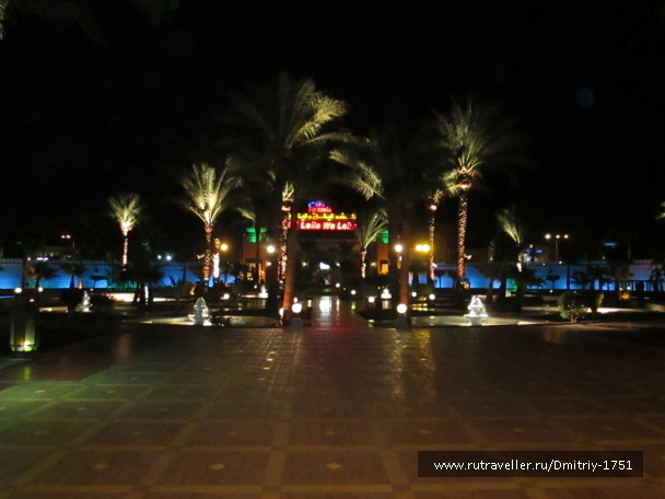 photo 1241282