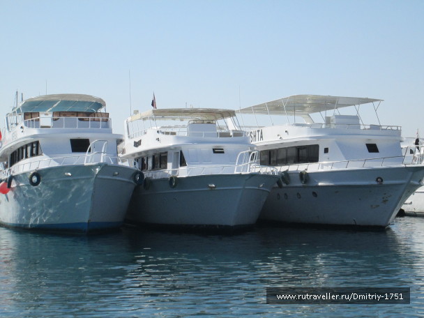 photo 1241291