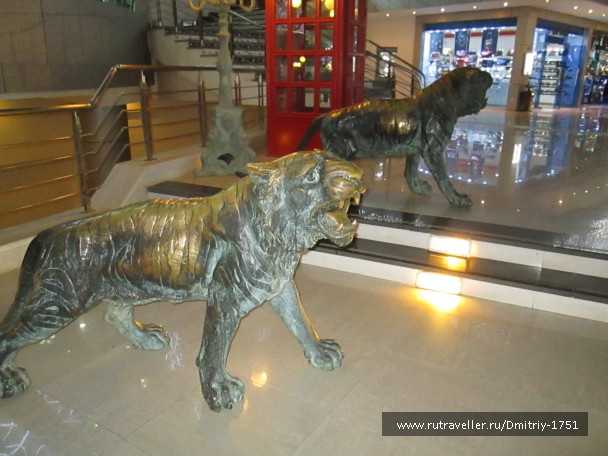 photo 1241326