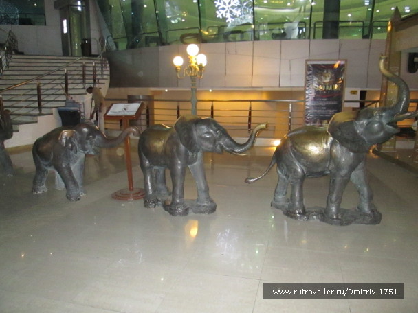 photo 1241327