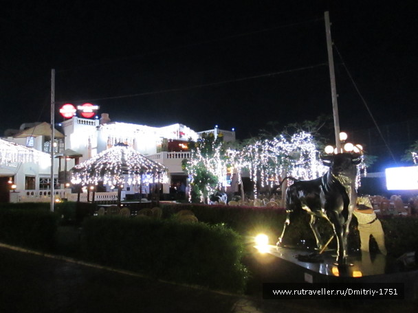 photo 1241328