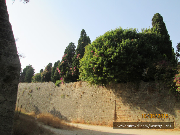 photo 1241363