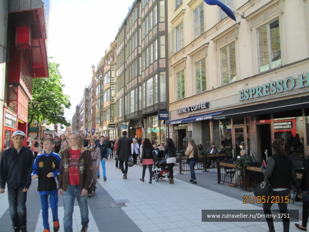 photo 1241522