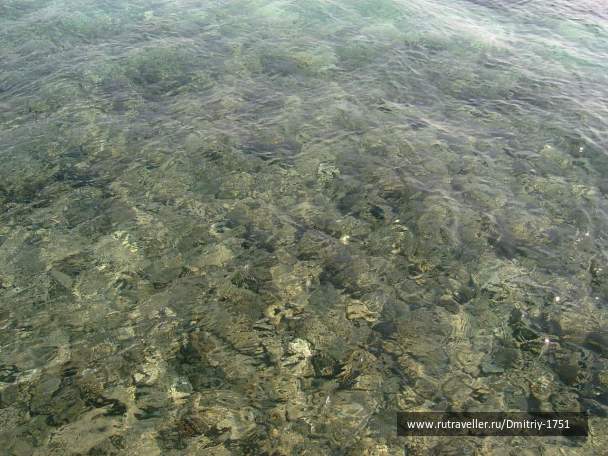 photo 1241540