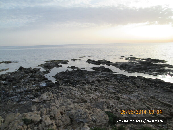 photo 1241584