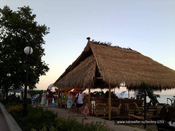 photo 1241686