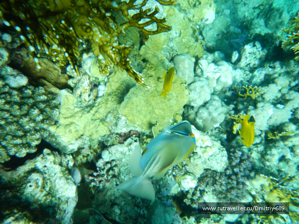 photo 645731