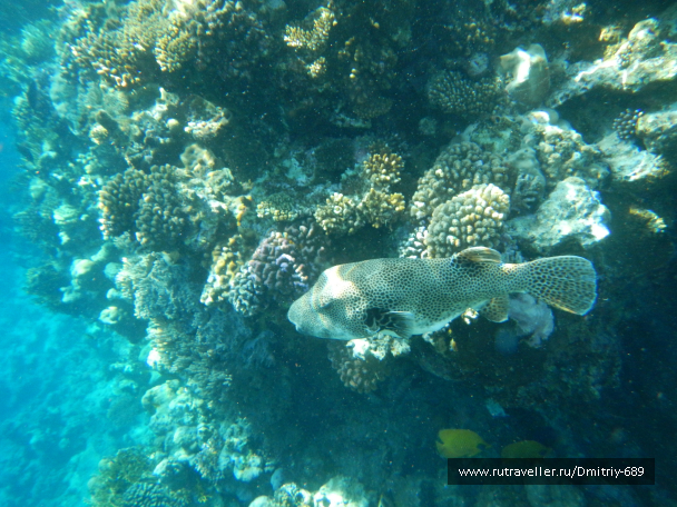 photo 645733