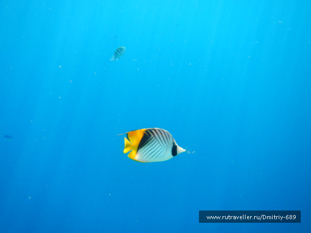 photo 645740