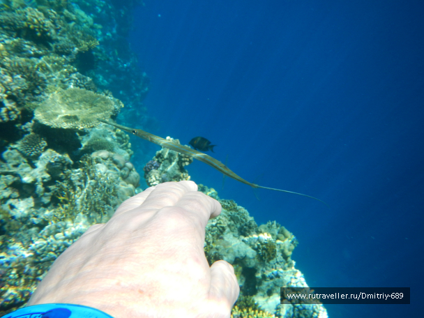 photo 645742