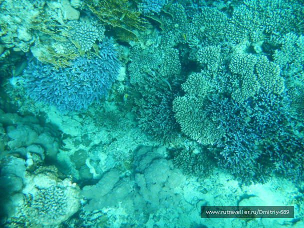 photo 645746