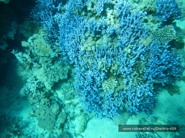 photo 645750