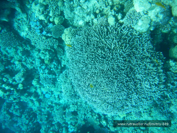 photo 645751